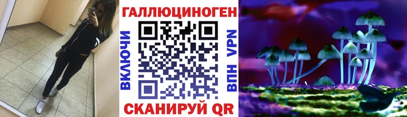 Псилоцибиновые грибы Magic Shrooms  Купить где  Малоархангельск 